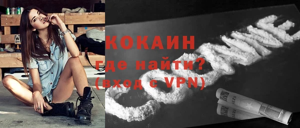 бошки Новозыбков