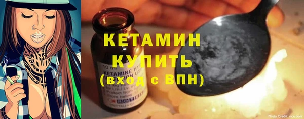 шишки Новодвинск