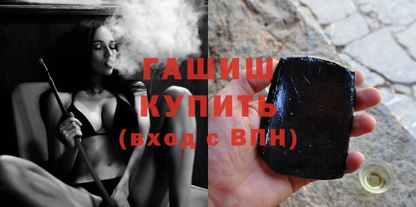 шишки Новодвинск
