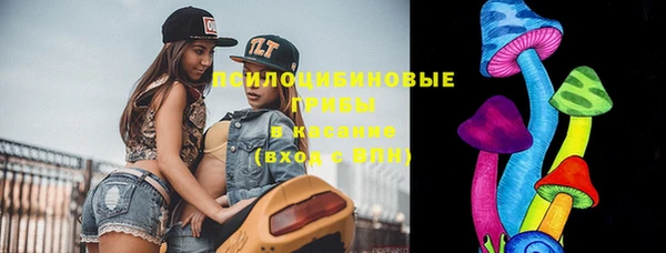 шишки Новодвинск
