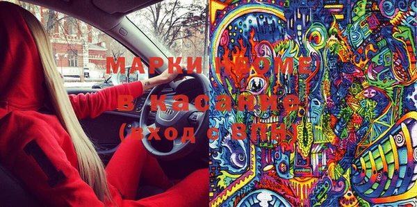 индика Алзамай