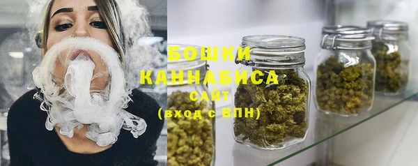 бошки Новозыбков